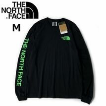 1円～!売切!【正規新品】THE NORTH FACE◆L/S HIT GRAPHIC TEE 長袖 Tシャツ ロンT US限定 2023最新 袖ロゴ 男女兼用(M)黒 180902-23_画像3