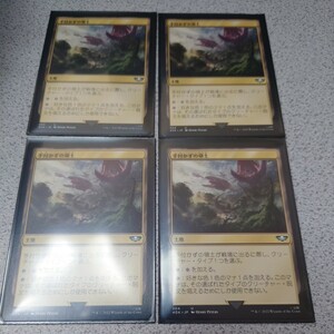 MTG 40K 手付かずの領土 日本語 四枚セット ウォーハンマー40000 即決