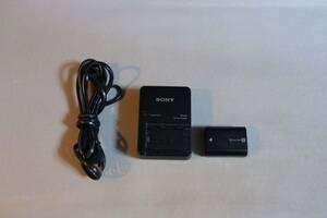 SONY BC-QZ1 NP-FZ100セット