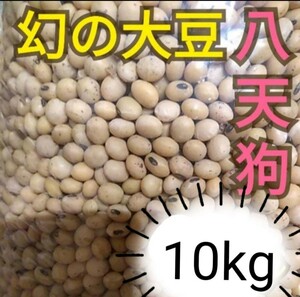 自然栽培 幻の大豆 『八天狗』10kg 熊本県産