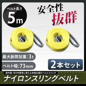 ★送料無料★ ナイロンスリングベルト5m×3000kg×75mm 耐荷重3ｔ　2本セット