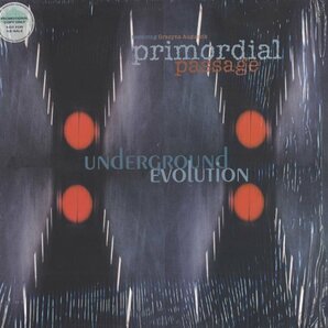 即決(LPX2)PRIMORDIAL PASSAGE/UNDERGROUND EVOLUTION *LOFTの画像1