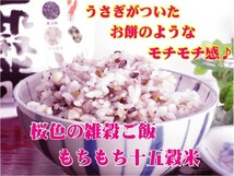 もちもち十五穀米 280g×3袋セット 雑穀米 ヘルシー おいしい 美味しい 健康 自然食品 送料無料int_画像2