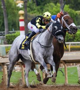 先週は回収率１９５％！　進撃の１点枠連馬券術　初心者でも同じ買い目　競馬予想　競馬予想ソフト　必勝法　ソフト　副業　副収入 