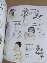 植物あそび (福音館の科学シリーズ) /ながた はるみ (著)/福音館書店_画像7