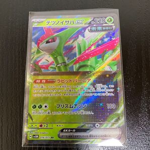 ポケモンカード テツノイサハ
