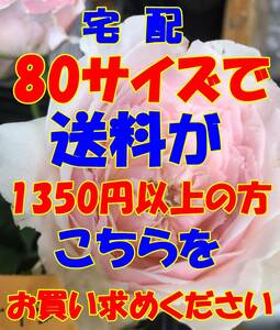 ヤフネコ宅急便　　T　80　宅配　80　サイズで送料が　1350円　以上の方はこちらをお求めください