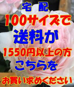 ヤフネコ宅急便　　B　100　　宅配　100　サイズで送料が　1550円　以上の方はこちらをお求めください　