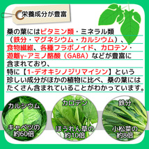 桑の葉パウダー 100g 桑の葉青汁 桑の葉茶 粉末 有機栽培 オーガニック 京都府産 国産 送料無料_画像5