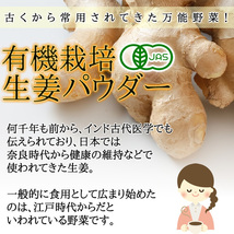 オーガニック 生姜 パウダー100ｇ 有機栽培 無添加 しょうが 粉末 メール便 送料無料_画像5