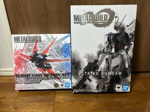 METAL BUILD ストライクガンダム & フライトユニットオプションセット