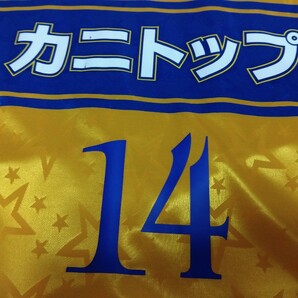 選手支給品アシックス別注タグ2001ベガルタ仙台ユニホーム長袖14番岩本輝雄の画像9