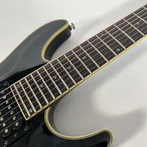 SCHECTER シェクター BLACKJACK 7弦ギター_画像6