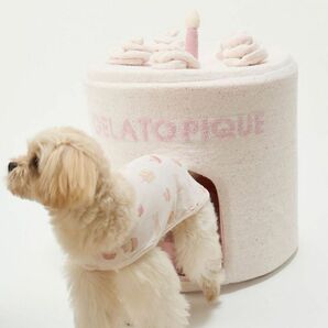 【新品】gelato pique（ジェラート ピケ）【CAT&DOG】スムーズィーケーキハウス