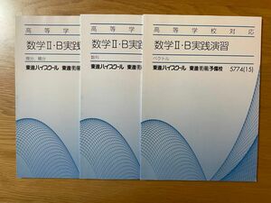 数学IIB実践演習 ベクトル　数列　微分、積分　東進テキスト　3冊セット