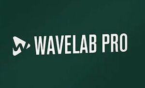 Steinberg WaveLab Pro 11 for Windows ダウンロード 永続版 マスタリング 波形編集のプロが選ぶ最高のソリューション