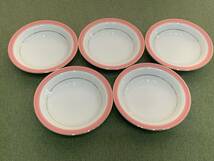 良品 TACHIKICHI タチキチ プレート 皿 4種16枚セット ピンク ゴールドライン 金彩 _画像5