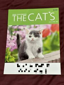 SA-030 THE CAT's （ザ・キャッツ）2024 CALENDAR 子猫　カレンダー 令和6年