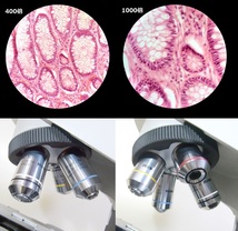 オリンパス システム双眼生物顕微鏡 CX31　極上美品　鮮明です　_画像9