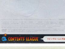 ■DVD 鳥居みゆき「故 鳥居みゆき 告別式 -狂宴封鎖的世界-」2009年 ステッカー付き_画像5