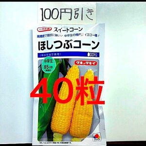 トウモロコシ スイートコーン　ほしつぶコーンの種 40粒