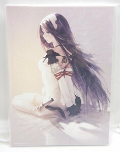 希少☆BRAVELY SECOND ブレイブリーセカンド アートボード パネル【アニエス・オブリージュ】①☆ブレイブリーデフォルト☆Z0130716