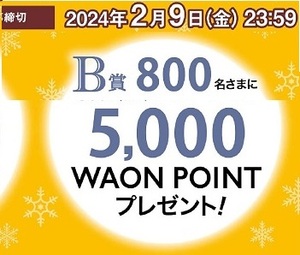 懸賞 応募券　( 5,000 waonポイント　800名