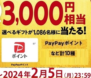 懸賞 応募券　( PayPayポイント、他　3000円分　　1086名 　　　mo-prm