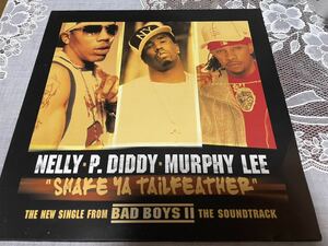 NELLY-P. DIDDY-MURPHY LEE SHAKE YA TAILFEATHER