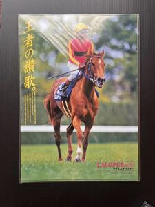 JRA ヒーロー列伝　テイエムオペラオー　クリアファイル☆JRA非売品☆