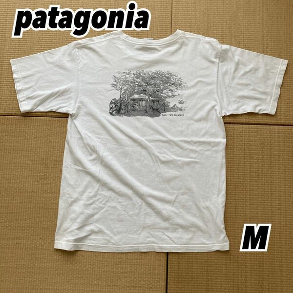 patagonia Beneficial T's ベネフィシャルTシャツ M