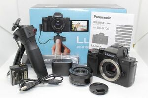 パナソニック Panasonic LUMIX DC-G100V 標準ズームレンズ ＋ トライポッドグリップキット #Z3125