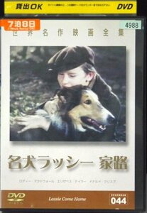 98_02073 名犬ラッシー 家路【日本語吹替音声なし】/ ロディ・マクドウォール エリザベス・テイラー ドナルド・クリスプ 他