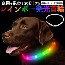 光る首輪 犬 首輪 光る 散歩 レインボー ペット ドッグ 韓国 かわいい_画像1