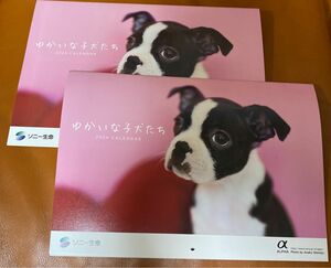 ゆかいな子犬たち　2024年カレンダー　２冊セット