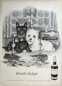 稀少！1957年Black & White広告/ウィスキー/酒/スコッチテリア/犬/Dog/Morgan Dennis/イラスト/5