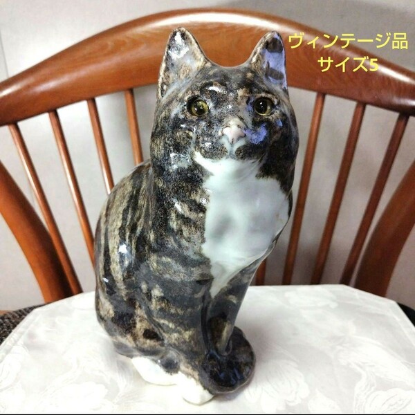 大きなサイズ5のペルシャ猫、ウィンスタンレイキャット(ケンジントンキャット)