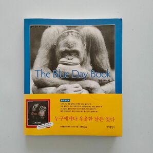 韓国語　英語　ブルーデイブック