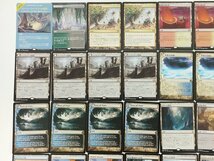 sC729q [大量] MTG 土地 R レア まとめ 計60枚 ストーム・ジャイアントの聖堂 剃刀鏡の茂み 禁忌の果樹園 他_画像3