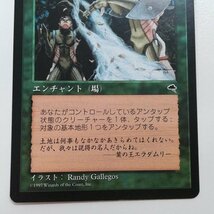 sA097o [人気] MTG 大地の知識 Earthcraft テンペスト TMP 緑 R レア 日本語版_画像7