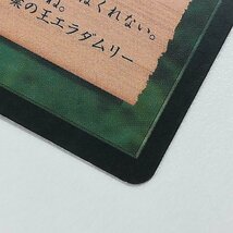 sA097o [人気] MTG 大地の知識 Earthcraft テンペスト TMP 緑 R レア 日本語版_画像10