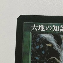 sA097o [人気] MTG 大地の知識 Earthcraft テンペスト TMP 緑 R レア 日本語版_画像8