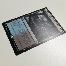 sB472o [人気] MTG 汚染された三角州 Polluted Delta タルキール覇王譚 KTK 日本語版 計2枚_画像4