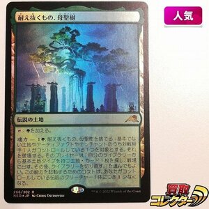 sB555o [人気] MTG Foil 耐え抜くもの、母聖樹 Boseiju Who Endures 神河：輝ける世界 NEO 日本語版