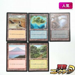 sB310o [人気] MTG APAC3 プロモ 基本土地 APAC LANDS CLEAR PACK 英語版 5種 セット Plains Island Swamp Mountain Forest