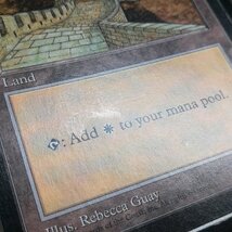 sB310o [人気] MTG APAC3 プロモ 基本土地 APAC LANDS CLEAR PACK 英語版 5種 セット Plains Island Swamp Mountain Forest_画像9