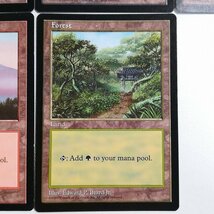 sB463o [限定] MTG APAC3 プロモ 基本土地 APAC LANDS CLEAR PACK 英語版 5種 セット Plains Island Swamp Mountain Forest_画像7