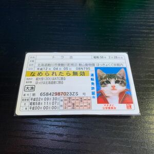 なめ猫　カード　免許証　トラ吉