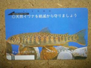 doub・330-1224 淡水魚保護協会 天然イワナ 魚 テレカ