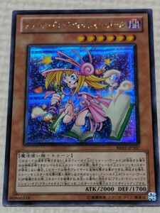 遊戯王 トゥーン・ブラック・マジシャン・ガール　闇　ATK/2000　DEF/1700　高橋和希　スタジオ・ダイス/集英社　デュエルモンスターズ